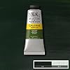 Winsor & Newton Galeria Acrylic Color, 60ml (2-oz) Tube, Olive Green #1