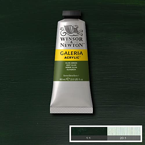 Winsor & Newton 2120447 Galeria acrylverf, hoge pigmentatie, lichtecht en verouderingsbestendig, romige vloeiende consistentie - 60ml Tube, Olive Green