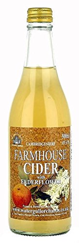 Watergull Orchards Farmhouse Cider with Elderflower 500ml - Case of 12