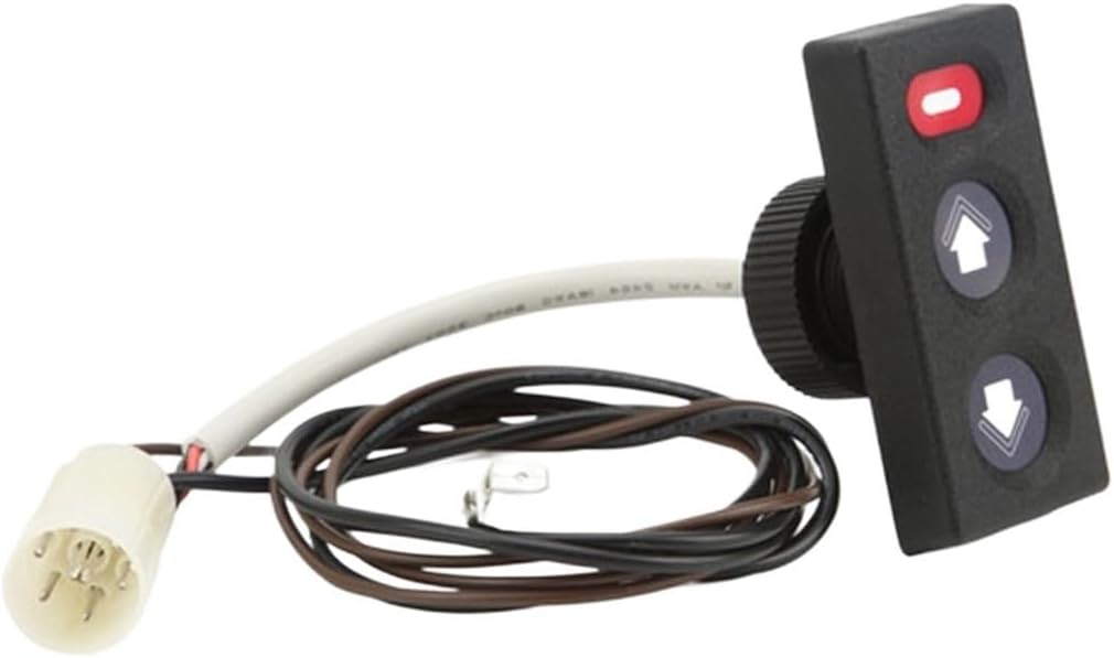 進 徹□花飾りの帽子の女性□油彩□額付絵画 ◇進徹 「花帽子の少女