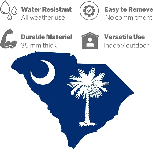 Imán Decorativo Estado South Carolina 6.5 pulgadas miniatura 5