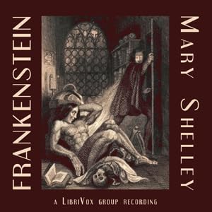 『Frankenstein, or The Modern Prometheus - 19 - Chapters 21-22』のカバーアート