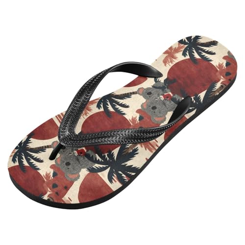 Flip Flop Sandals Cartoon Koala Print for Women Men Beach Outdoor XS2