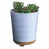 Airome Potted Succulent Medium Essential Oil Diffuser|100 mL Humidifying Ultrasonic Aromatherapy Diffuser 8 Colorful LED Lights, Intermittent & Continual Mist, Auto Shut-Off, White