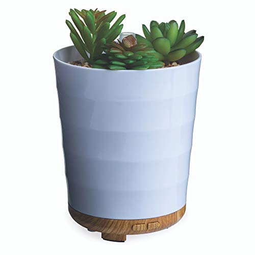 Airome Potted Succulent Medium Essential Oil Diffuser|100 mL Humidifying Ultrasonic Aromatherapy Diffuser 8 Colorful LED Lights Intermittent & Continual Mist Auto Shut-Off White