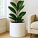 Fox & Fern 15" Large Planter Fits Plant Stand - Drainage Plug - Indoor Outdoor - Matte White