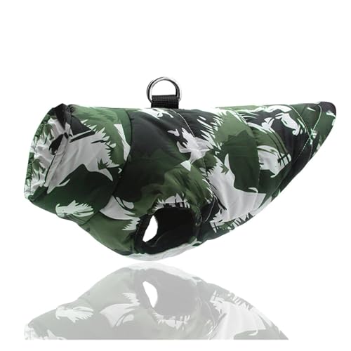 p~ g^pWPbgR[g t`uhbOp ybgxXg sbgu S[fgo[p(Black,XL)