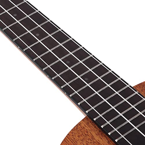 Ukulélé, 4 accessoires d’instruments à cordes professionnels pour la performance pour le divertissement pour le concert… - Les Beatles, Paul McCartney, John Lennon, RIngo Starr, George Harrison Ukulélé, 4 accessoires d'instruments à cordes professionnels pour la performance pour le divertissement pour le concert… – Image 7