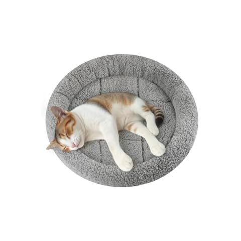 Enjoying Self-Warming Cat Bed Cover