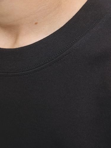Vêtements Jack & Jones Jornorrebro Emb Tee Ss Cn Noos Jnr pour Accessoires - vue 9