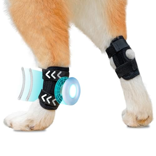 Image of 2025 Dog Leg Braces Dog Knee Brace for Back Leg- Dog Hip Brace for Torn Acl and Joint Relief -Dog Leg Sleeve - Dog Back Leg Support and Joint Supplement Black (L)