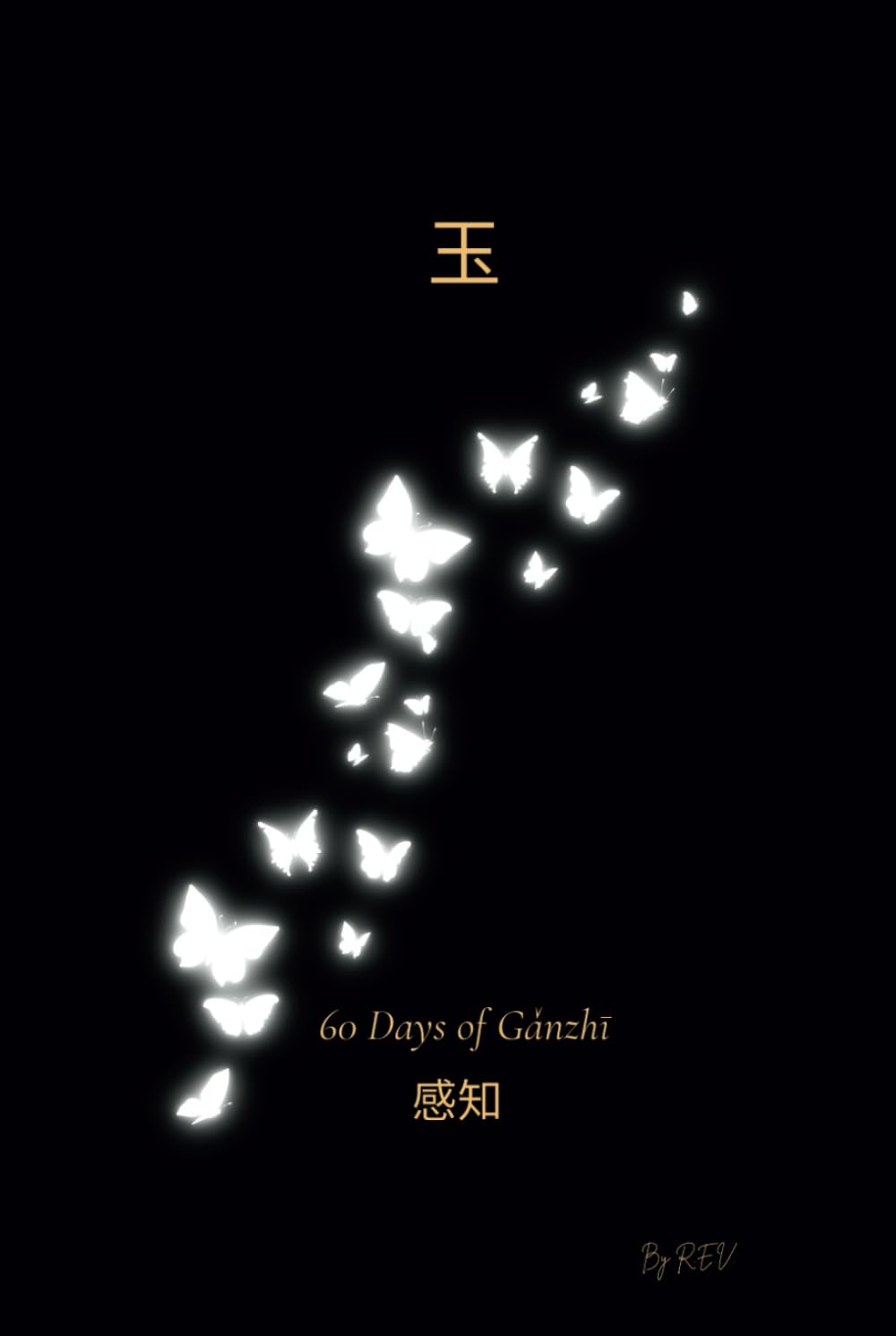 60 Days of Ganzhi (Ikigai My Quest)
