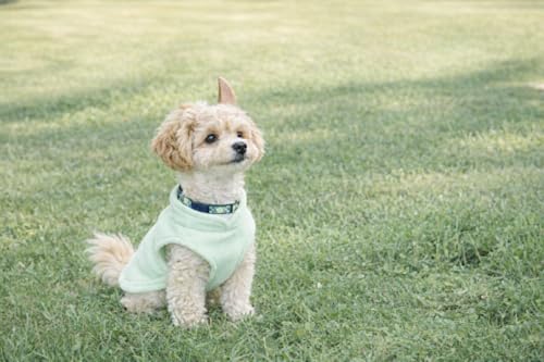Image of JACKO & CO - Fleece Vest Dog Sweater with Leash Ring - Soft, Warm & Lightweight Pullover Coat for Small & Medium Dogs, Puppies & Cats - Cozy Fall /Winter /Spring Pet Jacket (Mint Green, X-Small 3lbs)