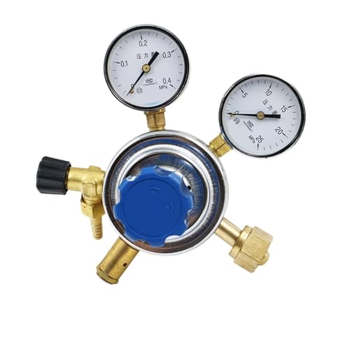 Standard Gas Pressure Regulator 0.1 * 25 0.16 * 25 0.25 * 25 0.4 * 25 Reducer(2.5Mpa)