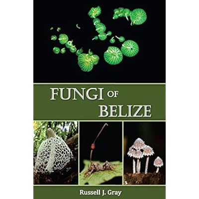 Fungi of Belize