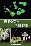 Fungi of Belize - Russell J. Gray 
