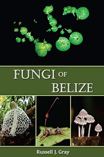 Fungi of Belize
