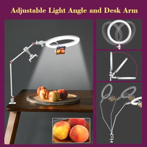 10'' Ring Light for Desk with Stand and Phone Holder,Overhead Tripod Ring Light,Video Conference Light with Adjustable Desk Arm Stand for YouTube Makeup, Tik Tok, work for Phone, Webcamwhite - Image 2
