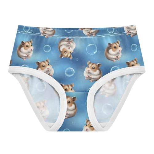 Joisal Toddler Girls Underwear 2t Cotton Little Girl Panties Fun Briefs Underpants Cute Hamsters Brown Blue