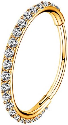 OUFER 18G 20G 1.0mm Nose Ring Hoops Hinged Seamless Segment Helix Piercings 316L Stainless Steel CZ Line Daith Tragus Cartilage Earring Jewellery Conch Ring Women Men 5 6 7 8 9 10 11 12mm