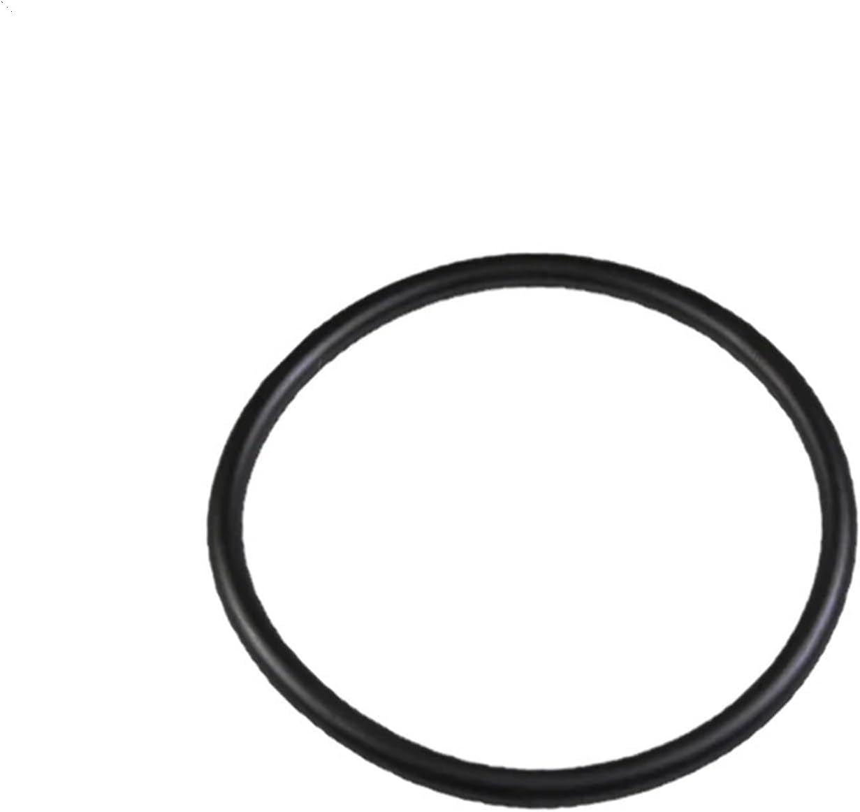 Thermostat O-ring Seal WHT000863