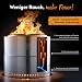 BURNHARD® Feuerschale Edelstahl 50 cm, raucharm, inkl. Transporttasche