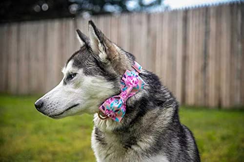 Lionheart Glory Floral Rose Print Dog Collar Adjustable Soft Dog Collar With Bowtie, Girl Pet Collars For X-Small Small Medium Large Dogs #TOP5