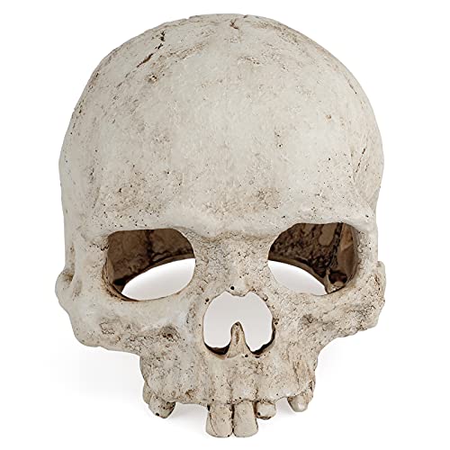 Uniclife Aquarium Skull Reptile House Decor Resin Head Skeleton Ornament for Tank Landscape...