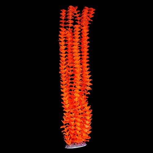 Pure Aquatic Glow Elements Tall Ambulia