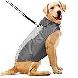 Pour chiens pour l'hiver : fabriquées dans un matériau de première qualité, respirantes et confortables, vêtements chauds pour animaux de compagnie