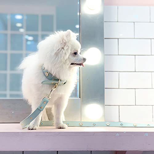 Pu Leather Rhinestone Dog Collar - Bling Dog Collar With Crystals, Flower Design - Pet Fashion Accessories For Puppy, Cats, Small Dogs - Indoor & Outdoor Use - Green Dog Collar, Medium #TOP2