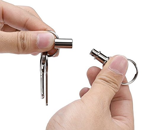 Erioctry 2 Pcs Heavy Duty Dual Key Ring Detachable Pull Apart Snap Lock Holder Keychains, Silver #TOP1
