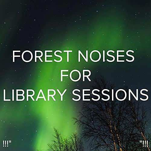 Amazon Music Deep Sleep, Sleep Sound Library and BodyHIの!!!" Forest