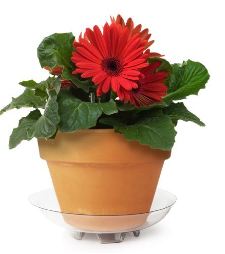 Plastec FGR12 Floor Guard Recycled Saucer thumb #2