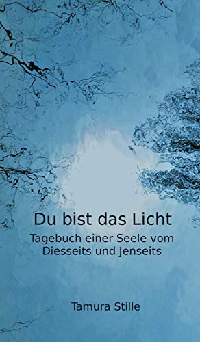 Du bist das Licht: Tagebuch einer Seele vom Diesseits und Jenseits (German Edition)