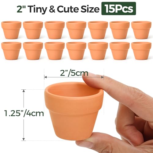 T4U Mini Terracotta Pots (15pcs): 2 Inch Small Clay Pots with Drainage Holes, Mini Clay Pots for Crafts, Terra Cotta Pots for Succulent Cactus Plants, DIY Mini Flower Pots, Idea Gifts for Party Decor