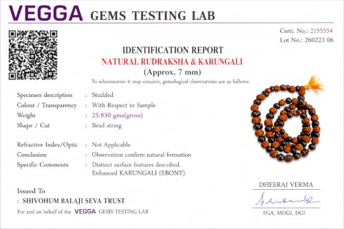 Image of Karungali Rudraksha Mala Original with 108 Beads | Rudraksha Karungali Mala with Lab Test Certificate | Rudraksha and Karungali Mala | Karungali and Rudraksha Mala Original