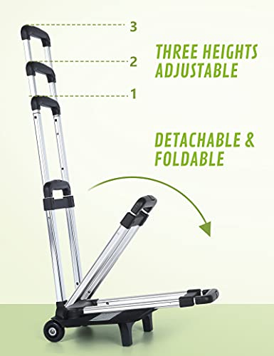 Pecute Pet Rolling Carrier, Pet Carrier Backpack Collapsible with Detachable Trolley, Multi-Function Pet Backpack with… - Image 4