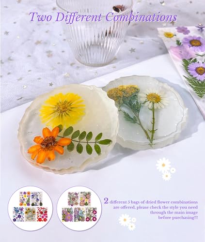 La mejor selección de Hojas secas - los preferidos. 23 Imagen adicional