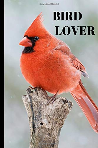 Bird Lover: Watching Writing 120 pages Notebook Journal - Small Lined (6" x 9" )