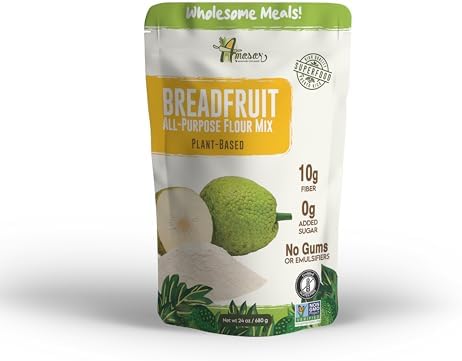 Amasar | All-Purpose Breadfruit Baking Mix | Gluten Free Made with Breadfruit & Cassava Flour | Plant Based All-Purpose Flour for Desserts & Dishes | 9g of Fiber per Serving, 24 Oz