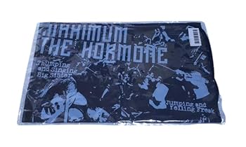 新品　MAXIMUM THE HORMONE マキシマムザホルモン　コンテナ ホルモン折り畳みCONTAINER BOX | 歴代GOODSライブラリー