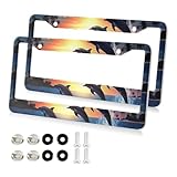 Jihqo Jumping Dolphin License Plate Frames 2 Pack Front Rear Aluminum Car Plate Holder with Screws Caps