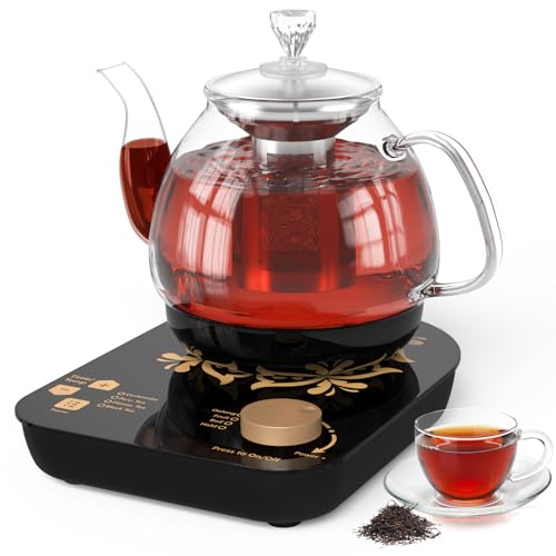 Tetera eléctrica de vidrio para té 0.8 L 800W