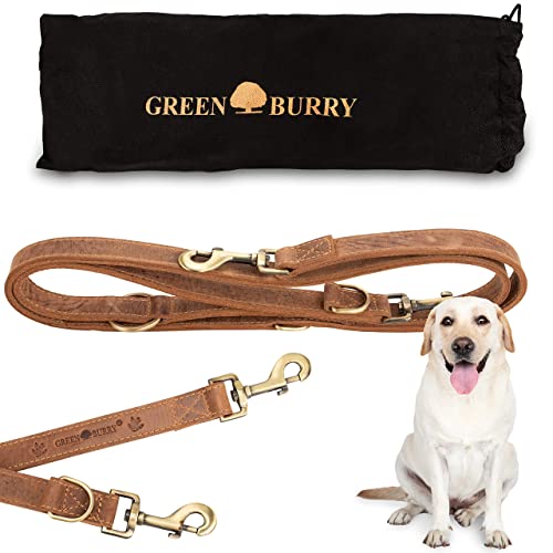 Greenburry Hundeleine Braun 200 cm - Extrem Robust aus hochwertigem und doppellagigen Rindsleder (2,5 cm breit) - Ideale Hunde Leine für Große Hunde - 3 Fach verstellbar - Rostfreier Karabinerhaken