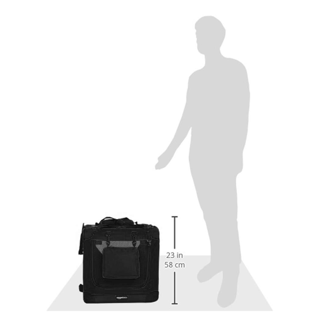 https://m.media-amazon.com/images/I/41dLkXeGJeL.jpg