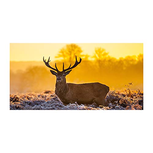 Tableau sur toile Animaux Orange Deer Lever Du Soleil 120x60 cm pour salon