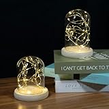 Utilisation polyvalente : Doté d’un dôme en verre amovible, il permet d’exposer plantes, ornements, figurines et bien plus encore. Il peut également servir for des médailles, des compositions florales séchées, des objets de famille, des coquillages, ou même comme décor féérique for des créations originales de jardin de fées.