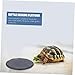 Toyvian 2pcs Natural Stone Tortoise Basking Platform Decorative Rock Dish for Reptiles for Turtle Bathing and Relaxation Aquariums Enhances Natural Habitat