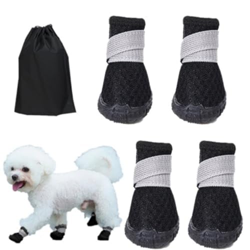 DRYYHEML(ȓX)C ̌C pu[c hbOV[Y EȂ ₷ tH[V[YYbVV[Y yʒʋC bV RۖhL _炩K ی ~ U &&^ 4Zbg ̎[obO